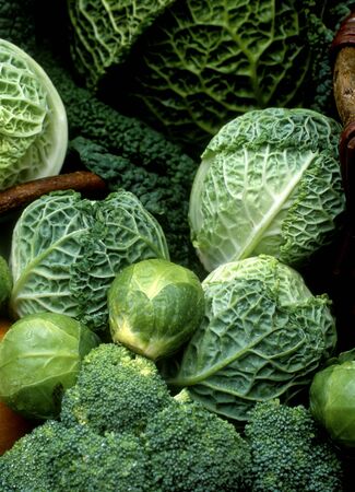 vegetables still lifeの写真素材