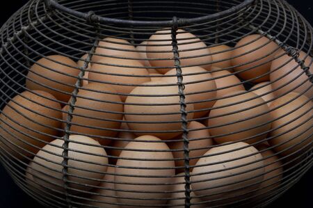 eggs