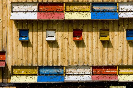 beehive, Slovakiaの写真素材