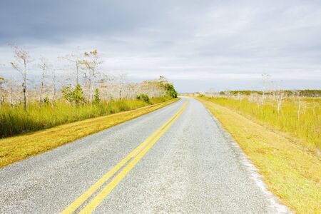 road in Everglades National Park, Florida, USAの写真素材