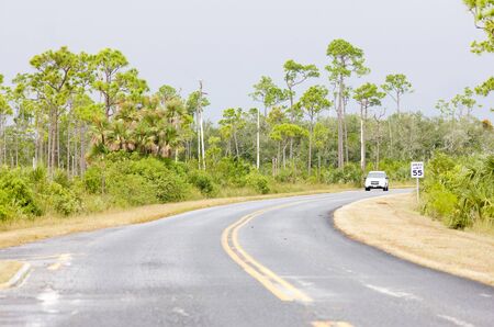road in Everglades National Park, Florida, USAの写真素材