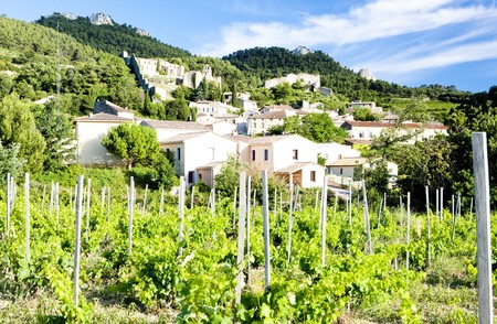 Gigondas with vineyard, Provence, Franceの写真素材