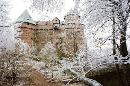Haut-Koenigsbourg Castle, Alsace, Franceの写真素材