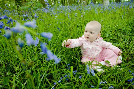 baby girl sitting on meadowの写真素材