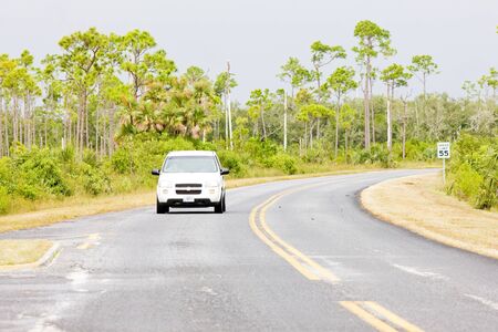 road in Everglades National Park, Florida, USAの写真素材