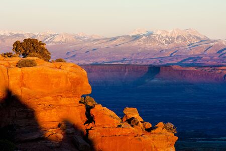 Canyonlands National Park, Utah, USAの写真素材