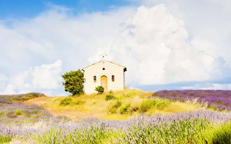 chapel with lavender field, Plateau de Valensole, Provence, Franceの写真素材