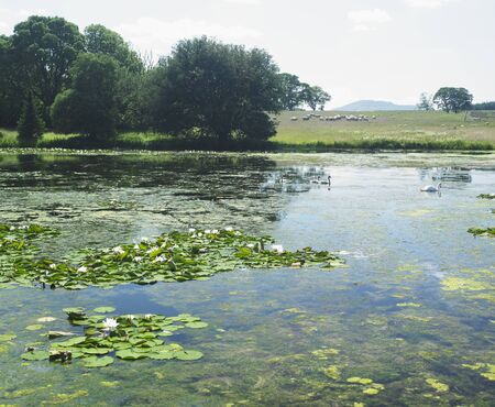 Curraghmore House Garden, County Waterford, Irelandの写真素材