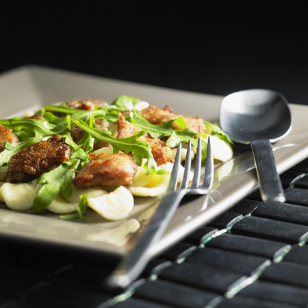 pasta orecchiette with meat noodles and rucolaの写真素材