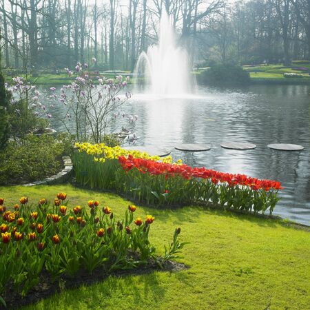 Keukenhof Gardens, Lisse, Netherlandsの写真素材