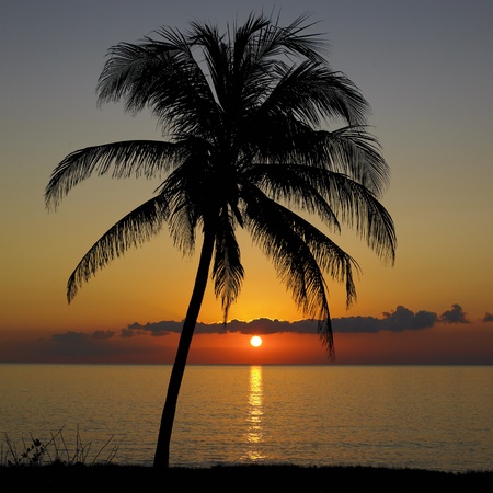 sunset over Caribbean Sea, María la Gorda, Pinar del Río Province, Cubaの写真素材