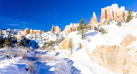 Bryce Canyon National Park in winter, Utah, USAの写真素材