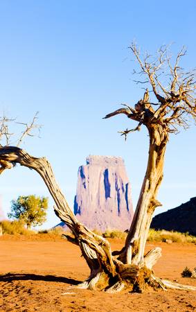 The North Window, Monument Valley National Park, Utah-Arizona, USA