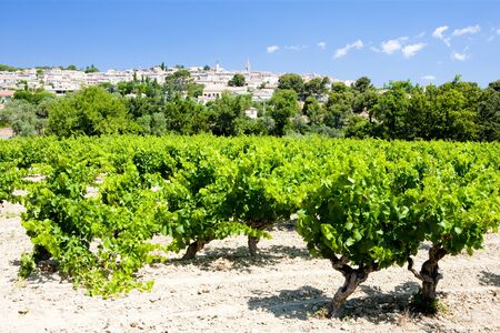 La Cadiere d''Azur with vineyards, Provence, Franceの写真素材