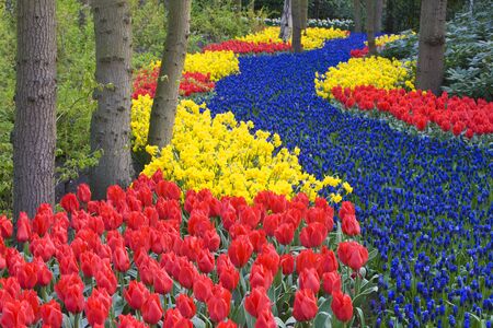 Keukenhof Gardens, Lisse, Netherlandsの写真素材