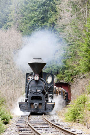 steam train, Ciernohronska Railway, Slovakiaの写真素材