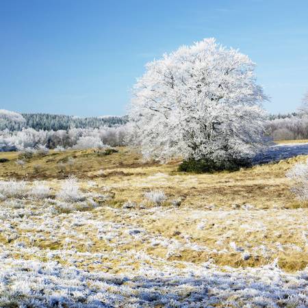 nature in winter, Département du Tarn, Franceの写真素材