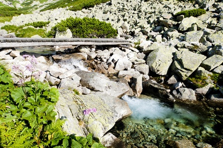 Great Cold Valley, Vysoke Tatry (High Tatras), Slovakiaの写真素材