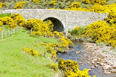 bridge near Armadale Bay, Highlands, Scotland
