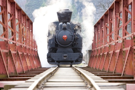 last day of service of CKD steam locomotive n. 5 (1.4.2008), Ciernohronska Railway, Slovakiaの写真素材