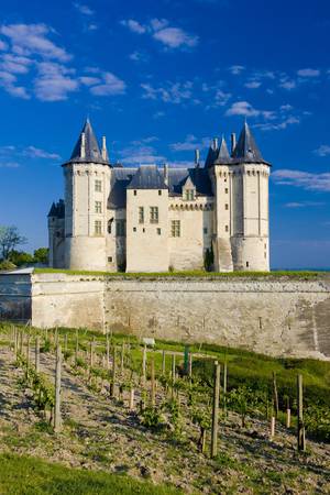 Chateau de Saumur, Pays-de-la-Loire, Franceの写真素材