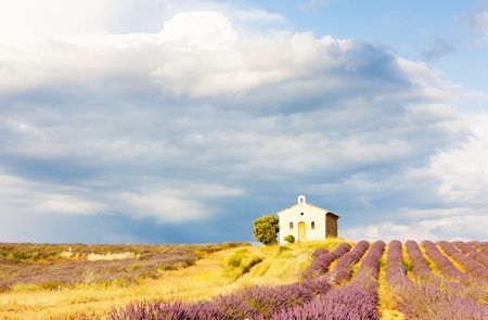chapel with lavender field, Plateau de Valensole, Provence, Franceの写真素材