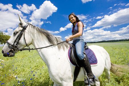 equestrian on horsebackの写真素材