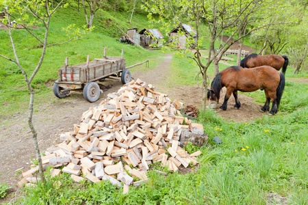 countryside of Bosnia and Hercegovinaの写真素材