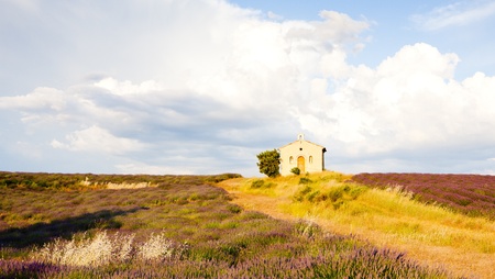 chapel with lavender field, Plateau de Valensole, Provence, Franceの写真素材