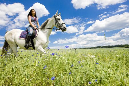 equestrian on horsebackの写真素材