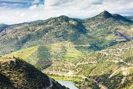 Douro Valley, Portugalの写真素材