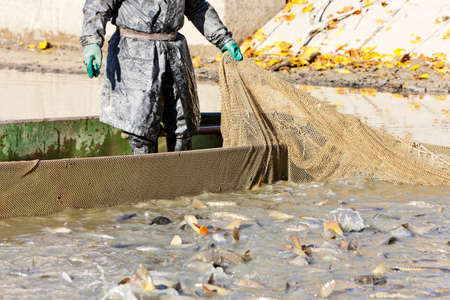 harvesting pondの写真素材