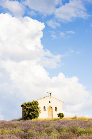 chapel with lavender field, Plateau de Valensole, Provence, Franceの写真素材