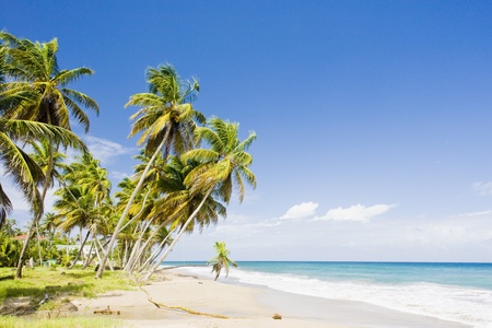 Sauteurs Bay, Grenada