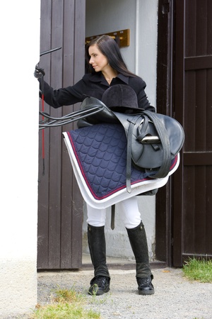 equestrian with saddleの写真素材