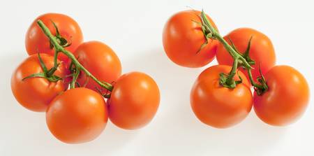 tomatoesの写真素材
