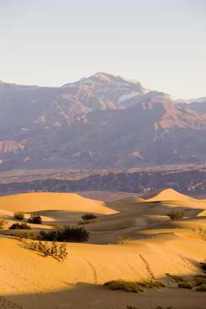 Stovepipe Wells sand dunes, Death Valley National Park, California, USAのeditorial素材