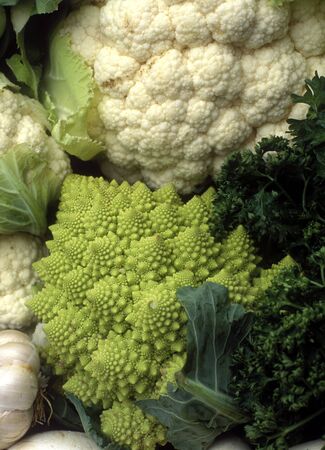 cauliflower with Roman cauliflowerの写真素材