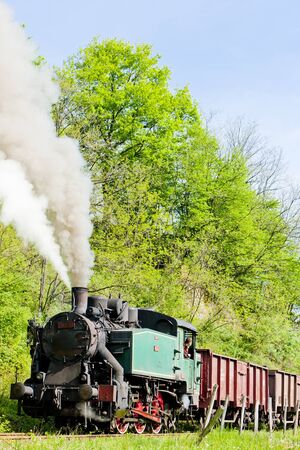 steam freight train, Durdevik, Bosnia and Hercegovinaのeditorial素材