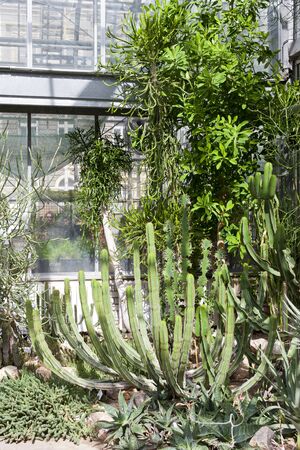 Botanical Garden Na Slupi, Prague, Czech Republicのeditorial素材