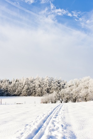 winter landscape, Czech Republicの写真素材