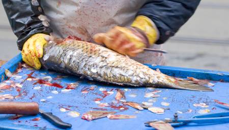 sale of Christmas carps (Czech Christmas tradition), Czech Republic