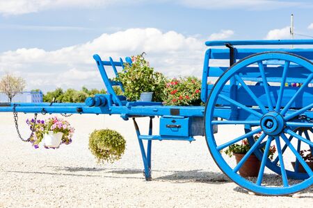 Valensole region, Provence, France