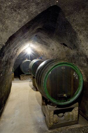 wine cellar, Hort Winery, Znojmo - Dobsice, Czech Republicのeditorial素材