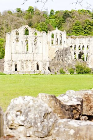ruins of Rievaulx Abbey, North Yorkshire, Englandの写真素材