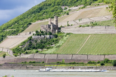 ruins of Ehrenfels Castle, Rhineland-Palatinate, Germanyのeditorial素材