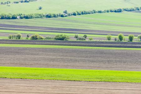 landscape near Kuzelov, Czech Republic