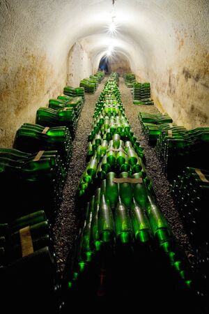 wine archive, Hort Winery, Znojmo - Dobsice, Czech Republicのeditorial素材