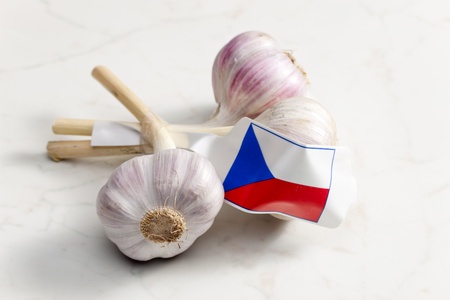 Czech garlicの写真素材