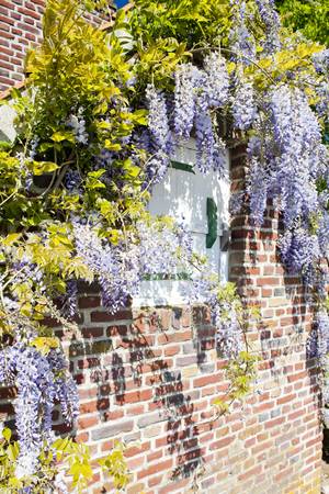 house with flowers, Nord-Pas-de-Calais, Franceの写真素材
